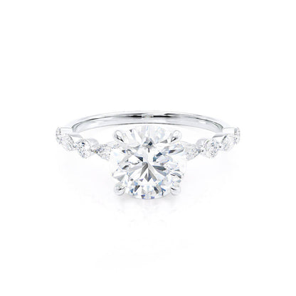 LAW043