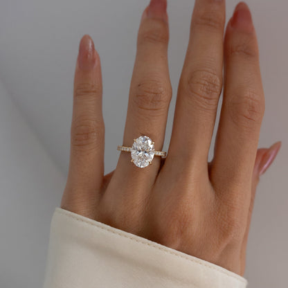 FD022.hand.1.jpg