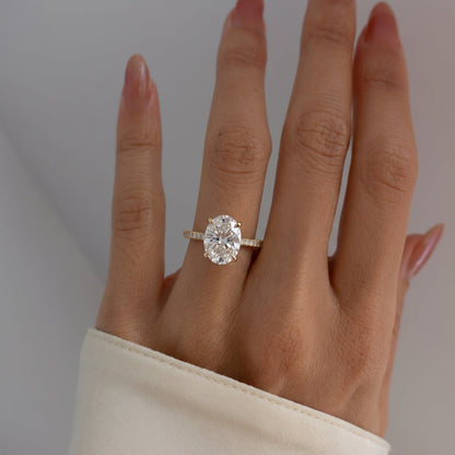 FD030.hand.1.jpg