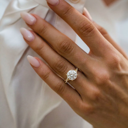 FD205.hand.2.jpg
