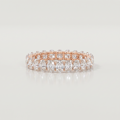 FD246.2.1.jpg
